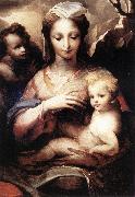 BECCAFUMI, Domenico Madonna with the Infant Christ and St John the Baptist  gfgf china oil painting artist
